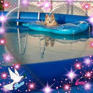 Meet your Posher, Sherry